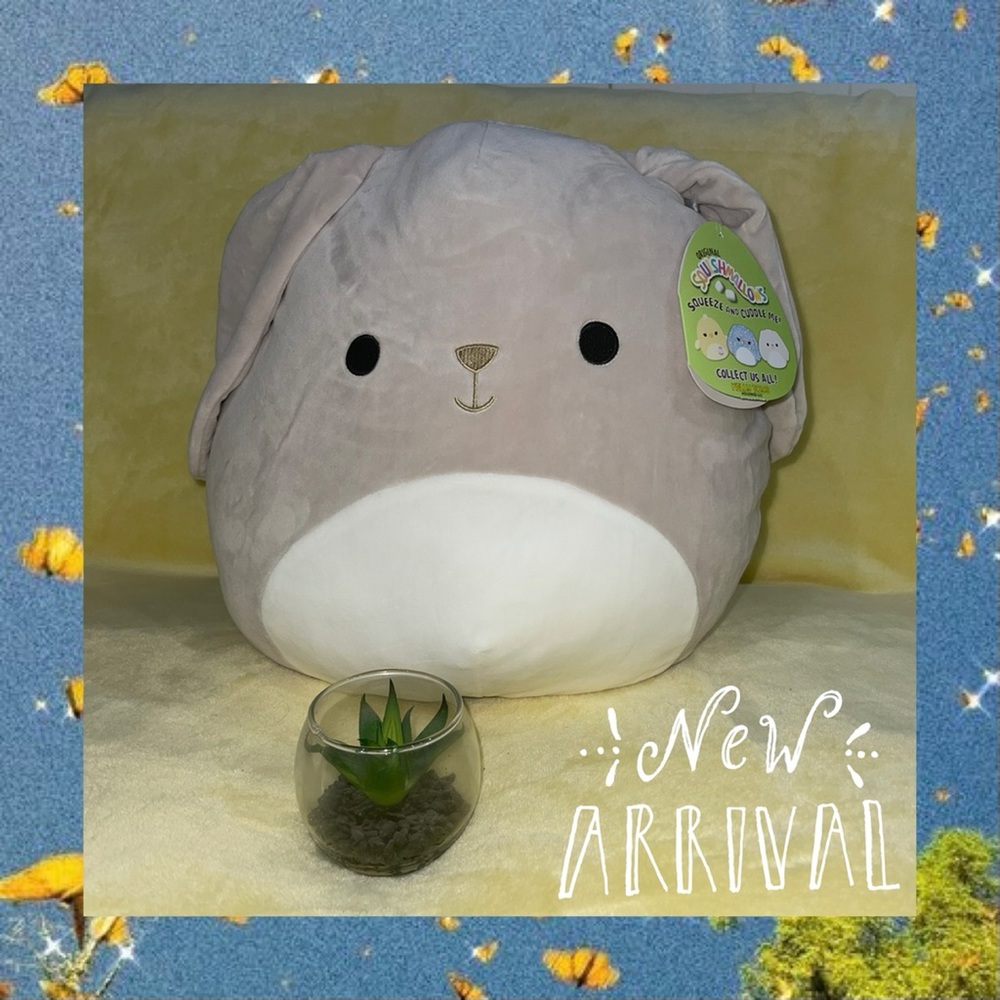 🌼NEW Valentina Squishmallow